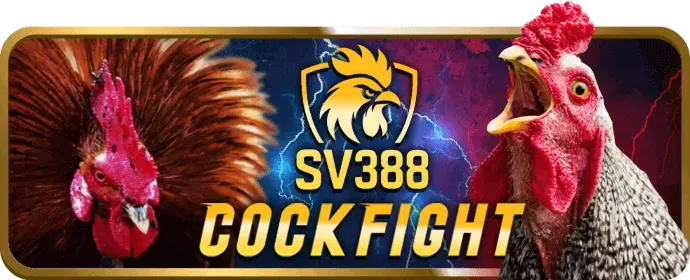 Giao dịch nhanh chóng và an toàn gx33